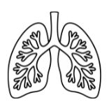 Lungs